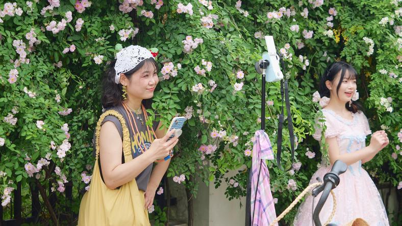 高考考砸了去做网红,这条路怎么样?